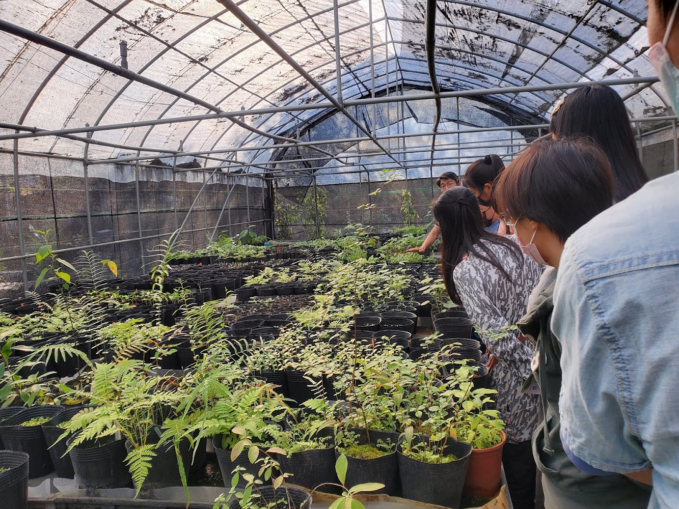 溫室內參觀幼苗與植物盆栽