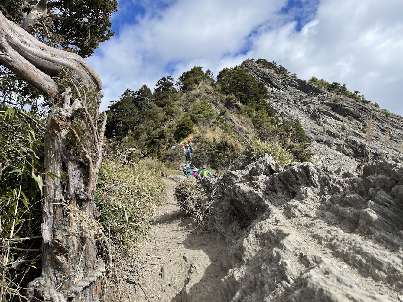 關山嶺山山間步道與登山者