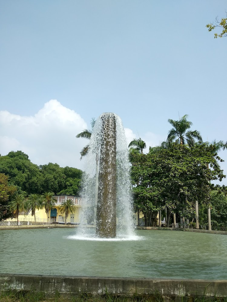烏山頭水庫親水公園圓形噴泉戲水池與棕櫚樹景觀