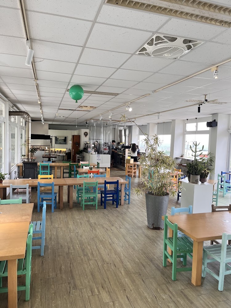 白日夢Tea Cafe寬敞餐廳空間適合多人聚餐
