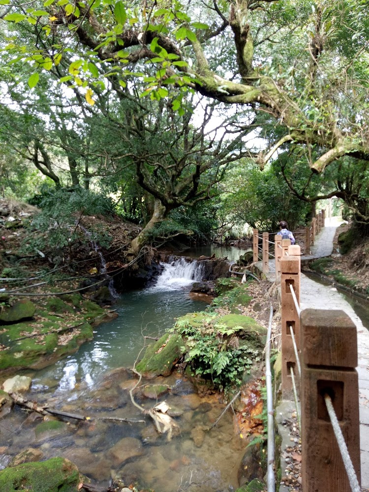 水車寮繡球花園旁森林溪流木棧道