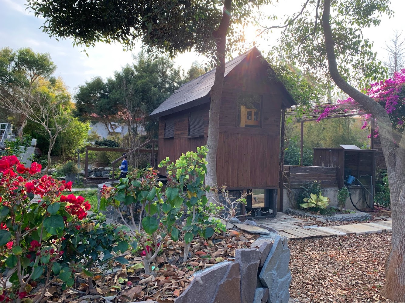 29號花園木造小屋與花園造景