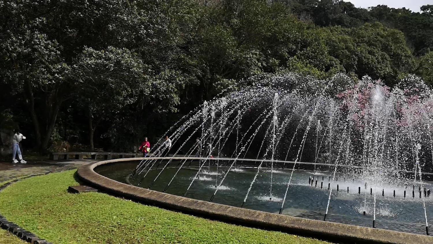 陽明山噴水池圓形噴泉