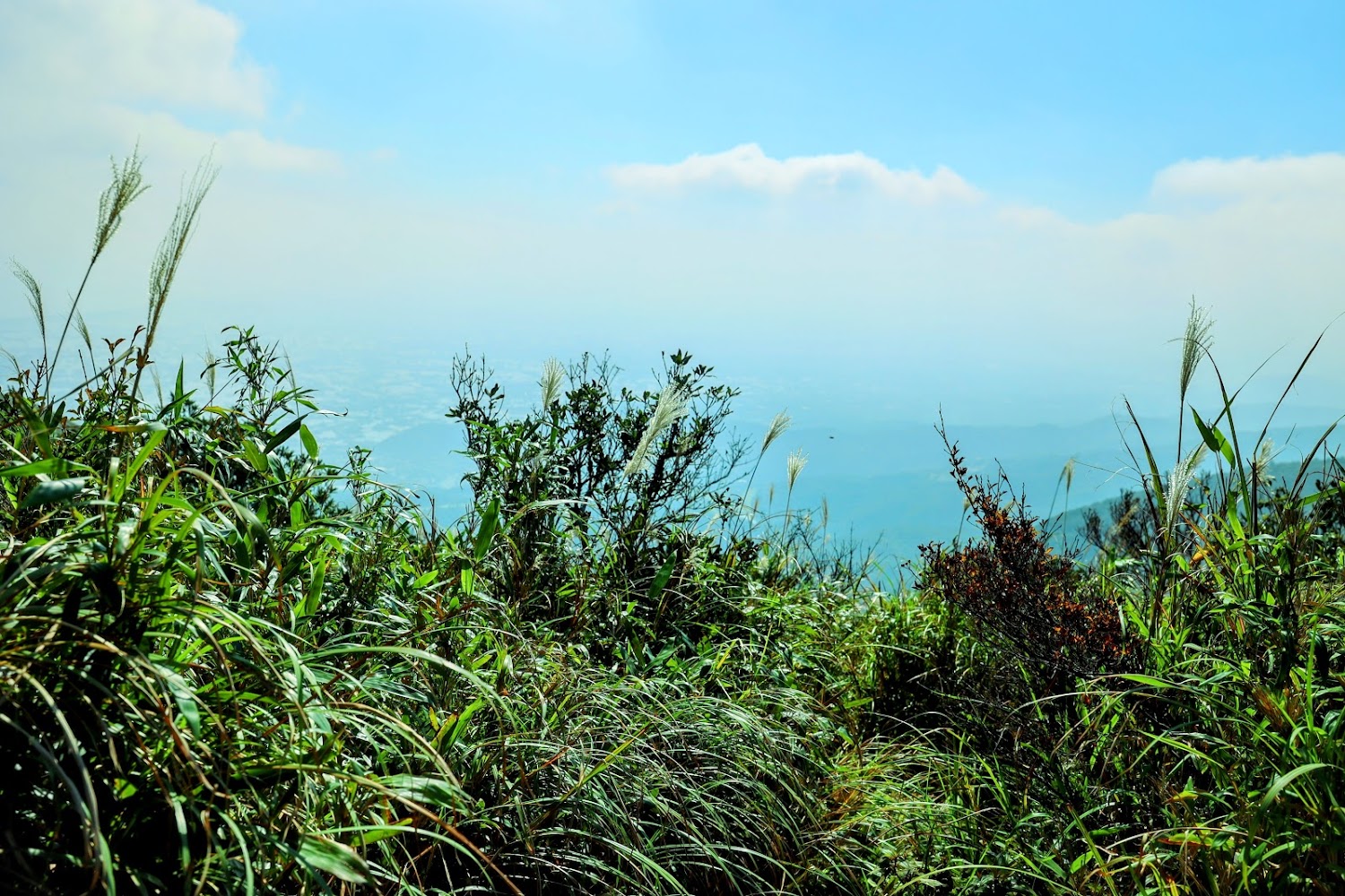 三角崙山草原與遠山藍天景致