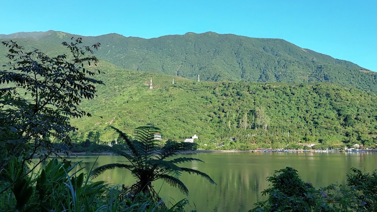 翠綠山林前景有湖泊與植物的自然畫面