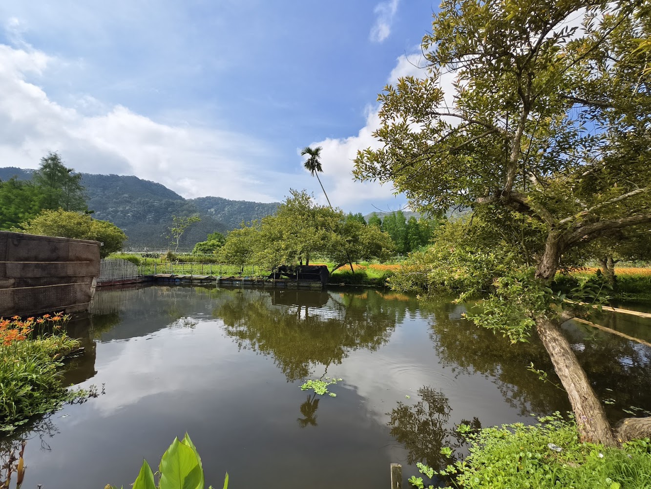 被綠意包圍的清澈池塘與山景