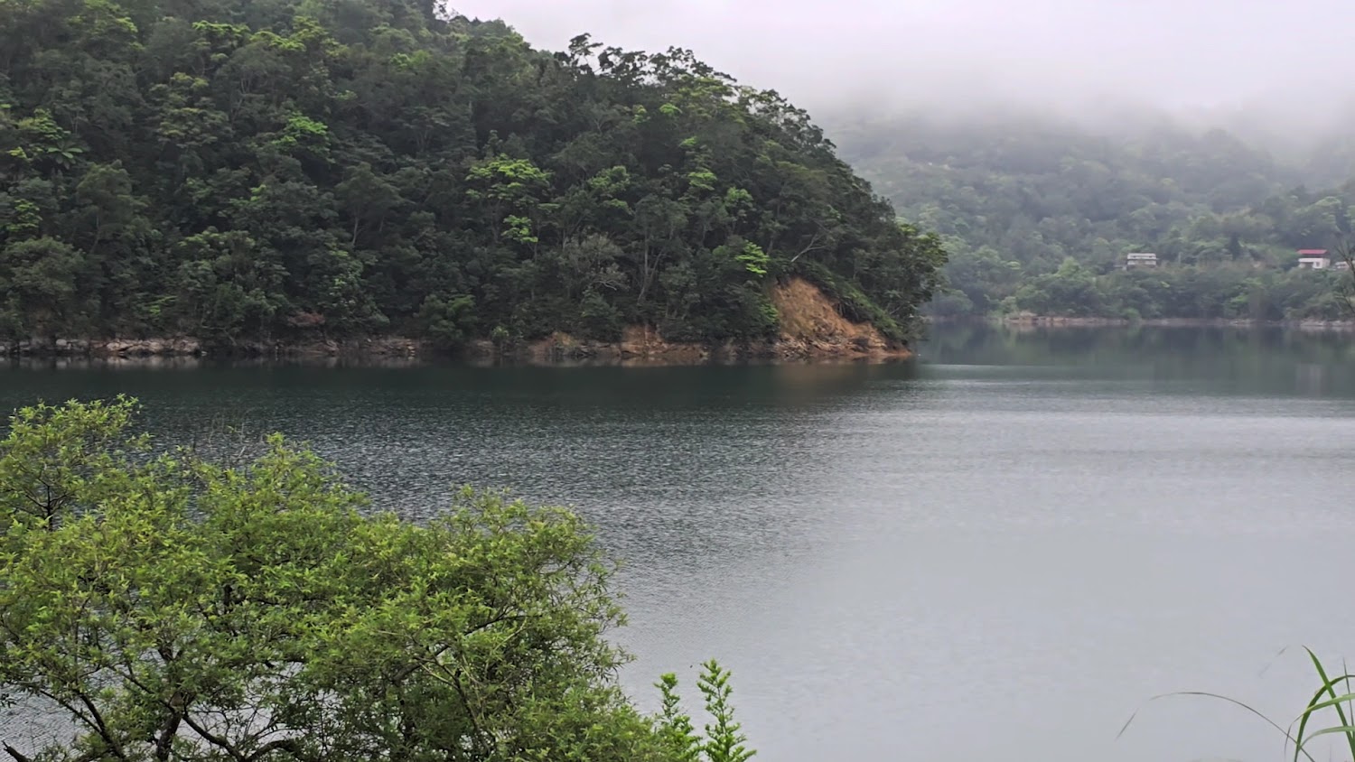 平靜湖泊與綠樹山林環繞的景色