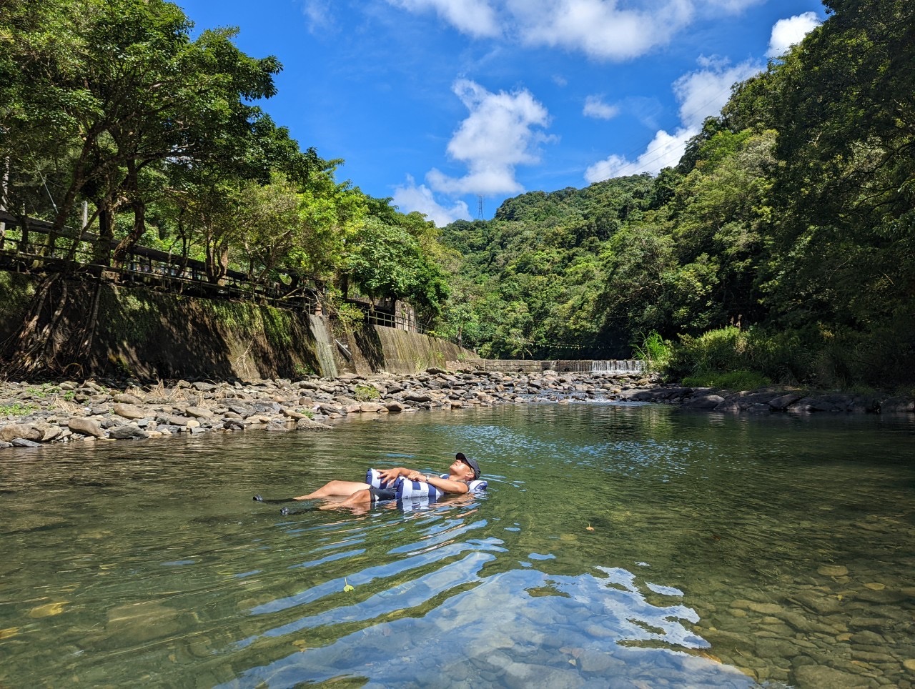 綠野山林成家營地清澈溪水悠閒漂浮