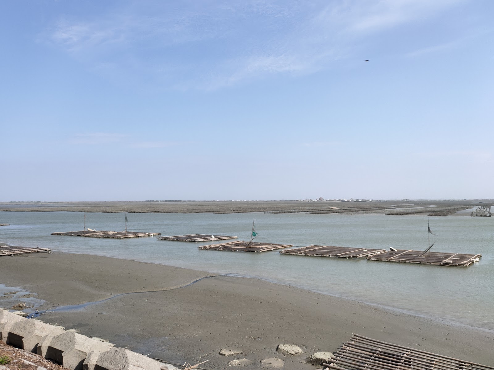 東石外海蚵棚養殖區全景