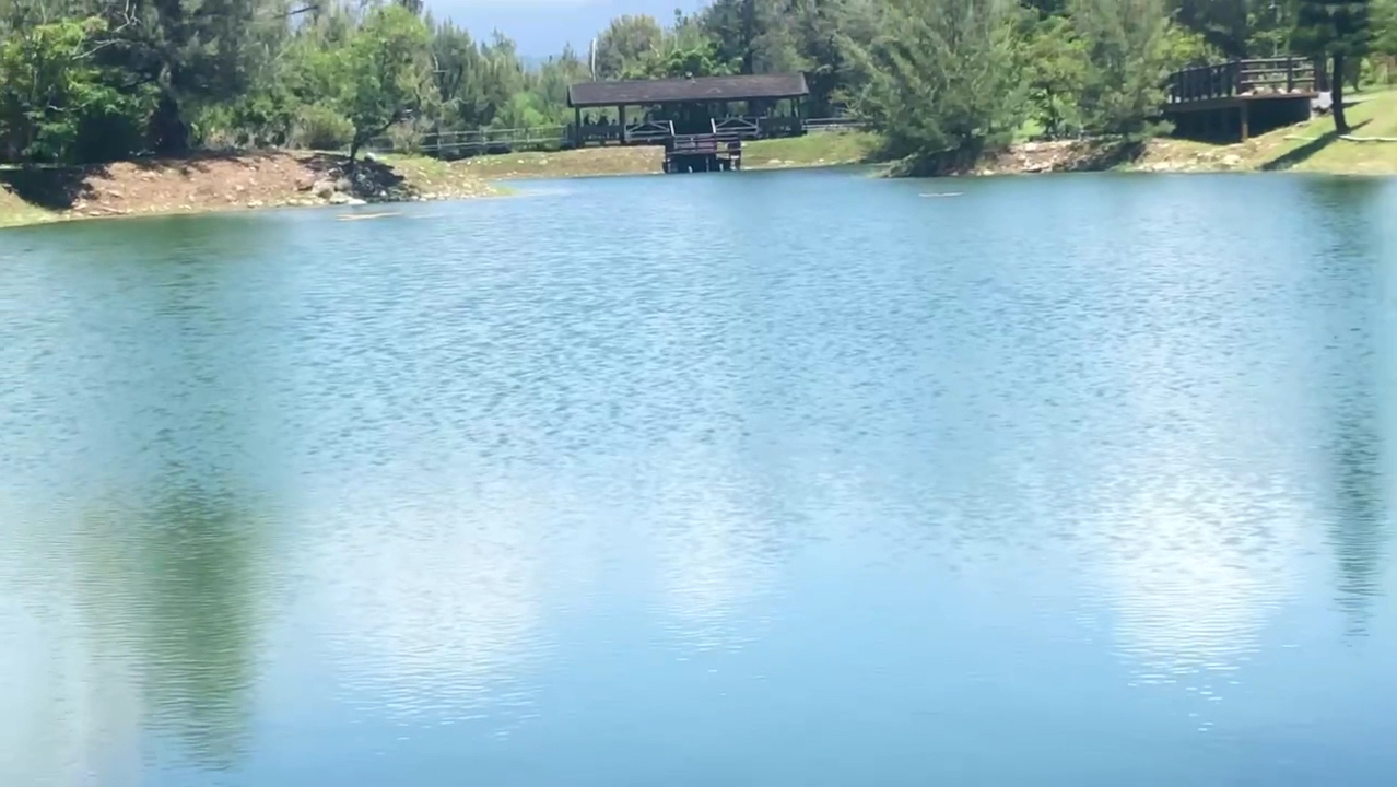 臺東森林公園琵琶湖寬闊藍色湖面與木造涼亭
