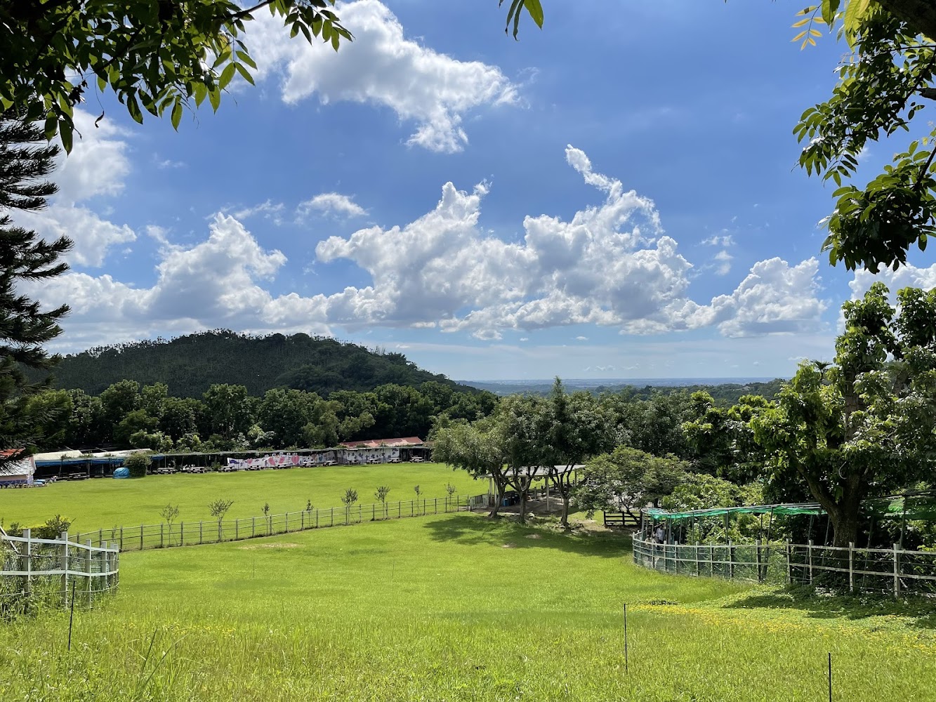 農場草地與山景