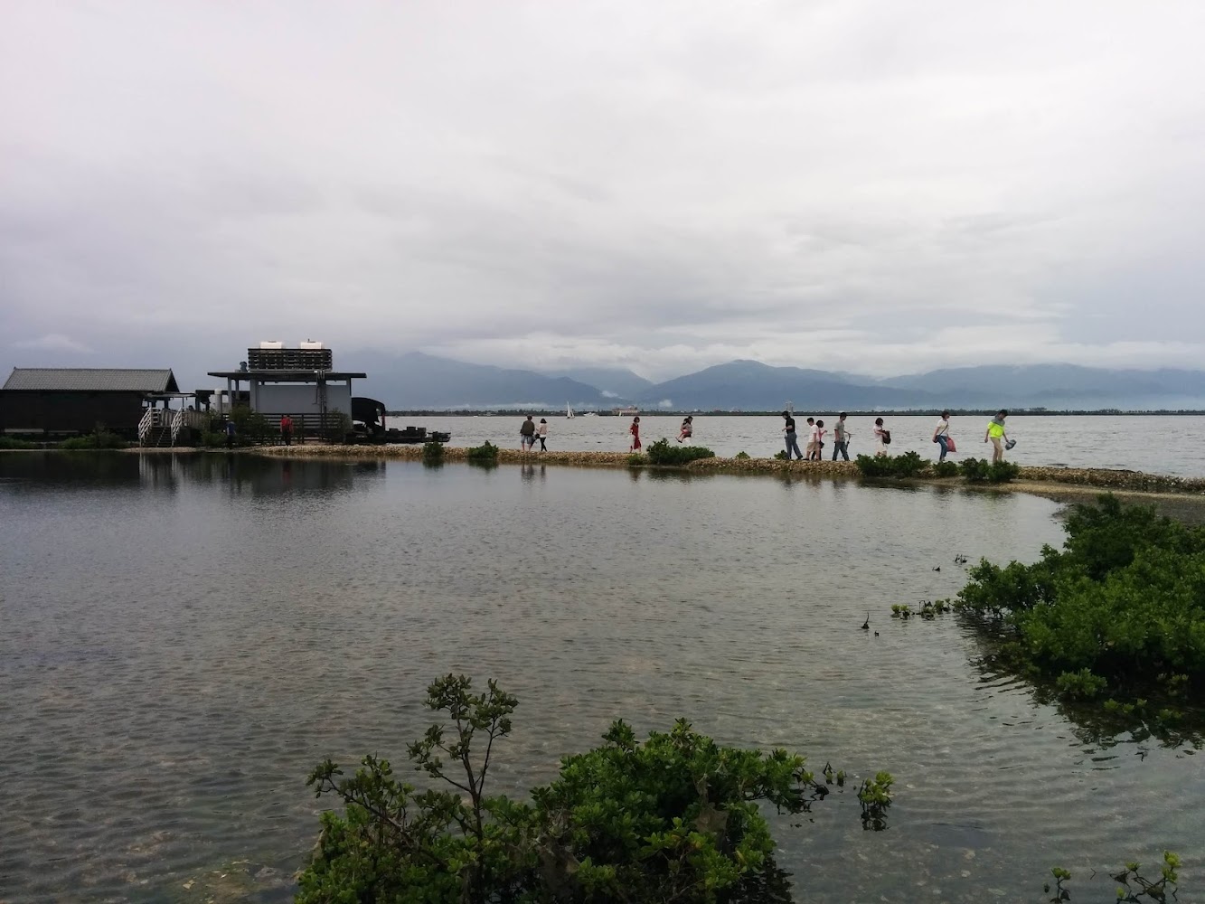 水域前景有綠色植被，遠方沿岸有人群與建築