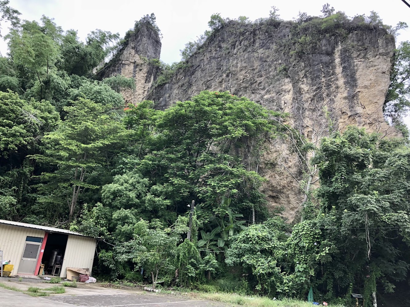 雞冠山登山入口附近岩壁與樹林