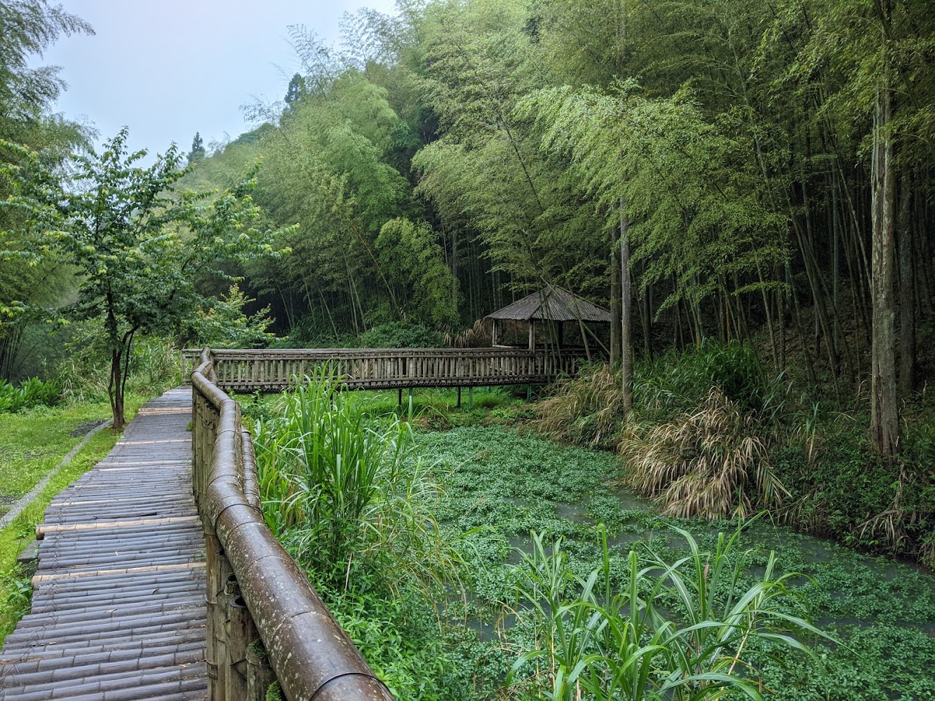 雲林五元兩角竹步道與涼亭
