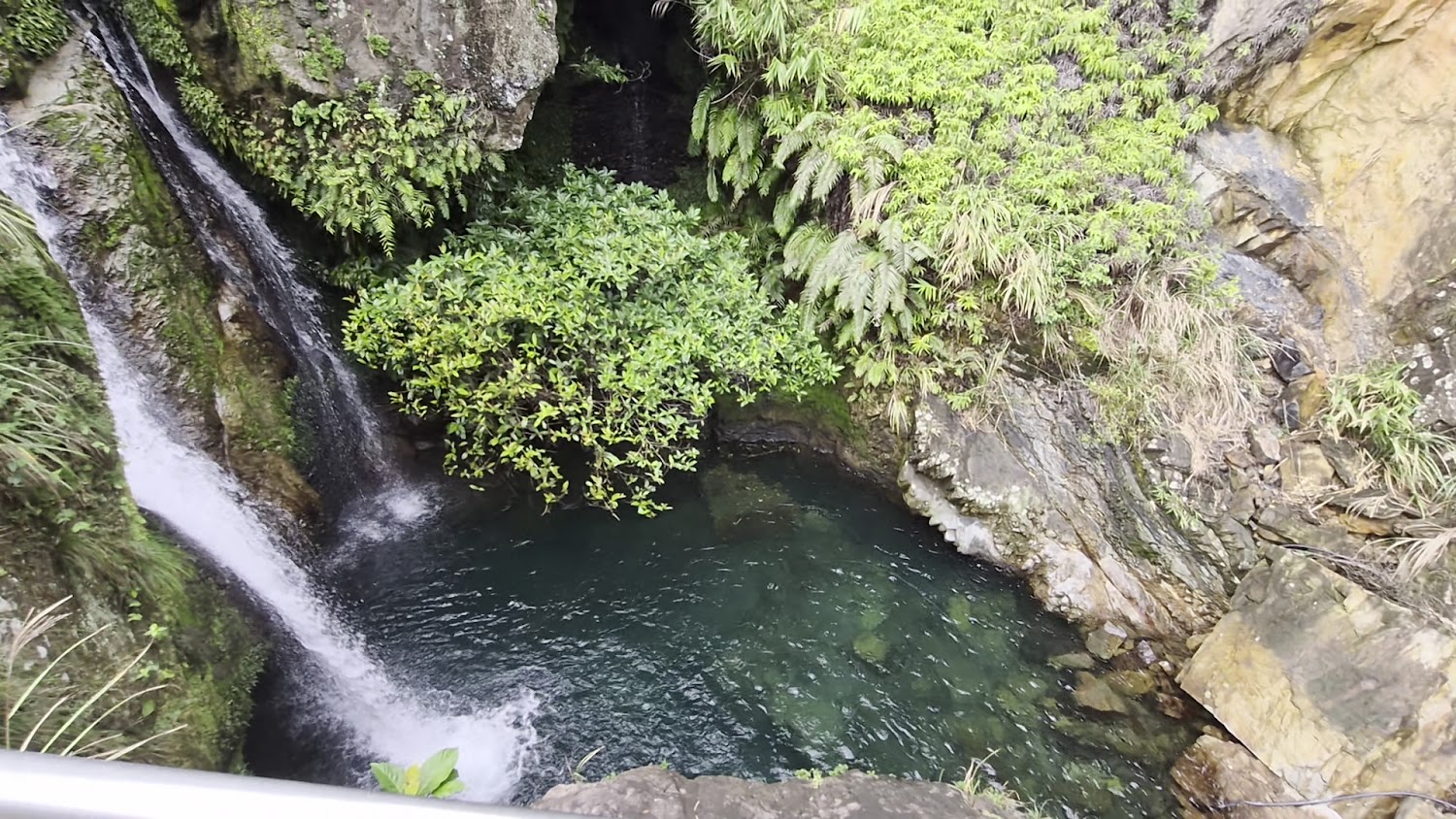 猴洞坑瀑布下層小瀑布與蕨類山壁