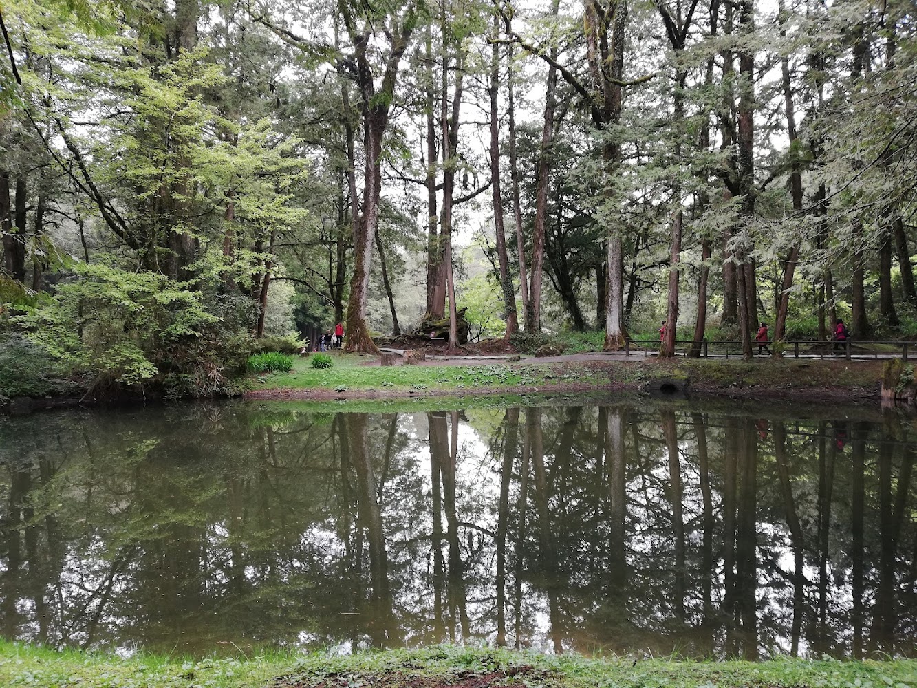 姊妹潭森林環湖步道景色