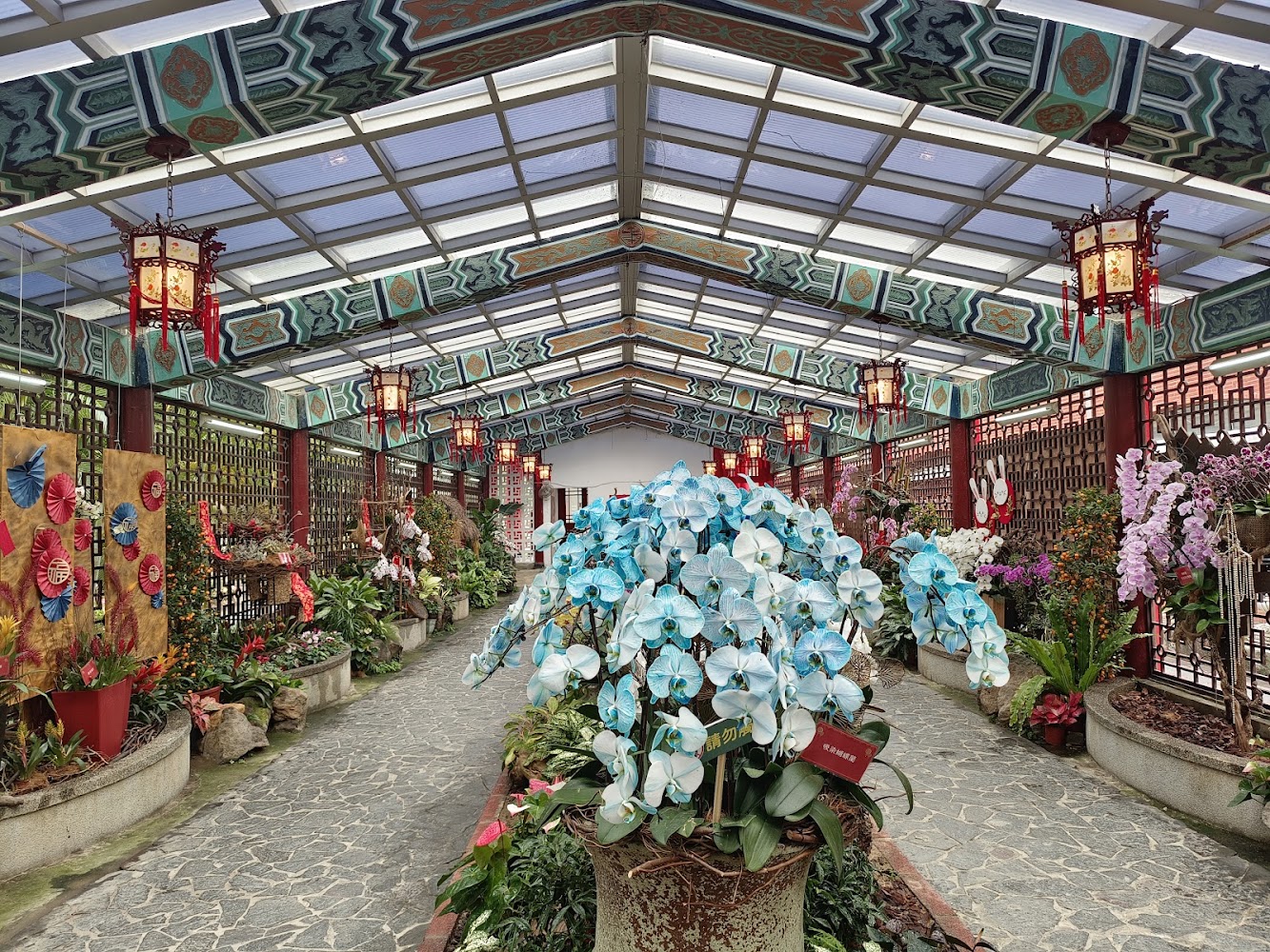 室內花卉展廳兩側擺滿色彩繽紛花卉，天花板與牆面有中式裝飾與紅色花燈