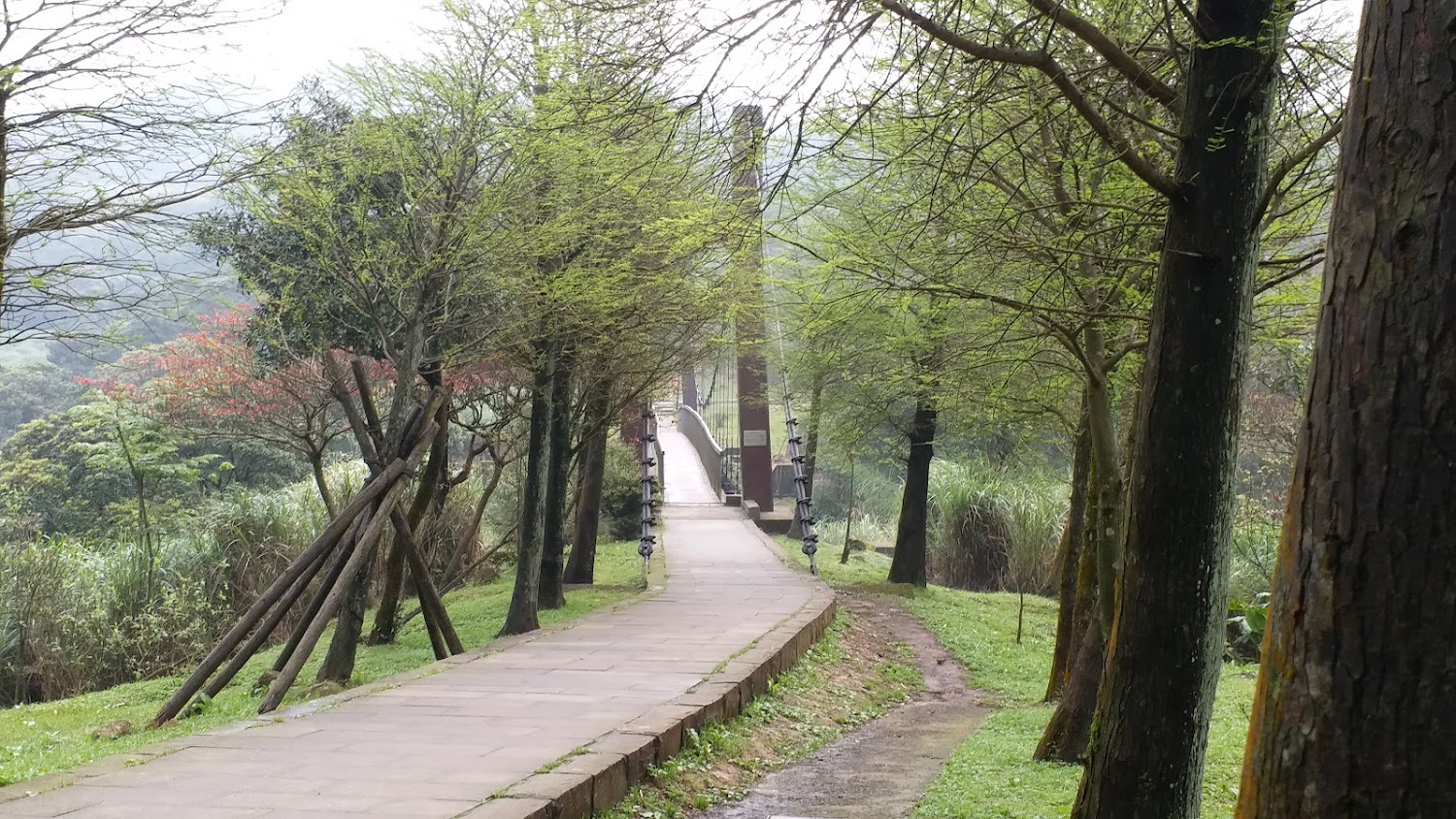 冷擎步道通往吊橋的林間步道