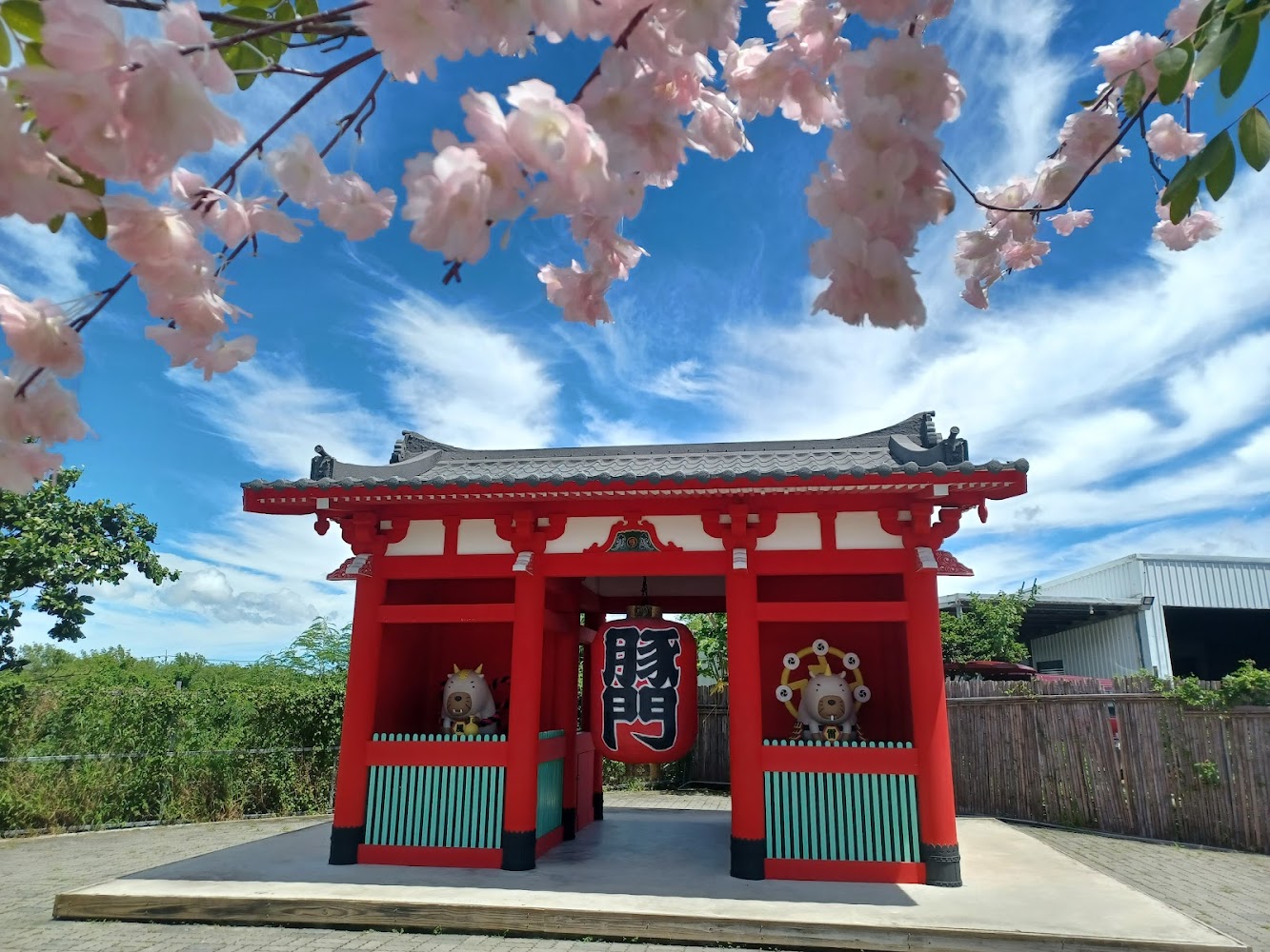 紅色鳥居與櫻花造景