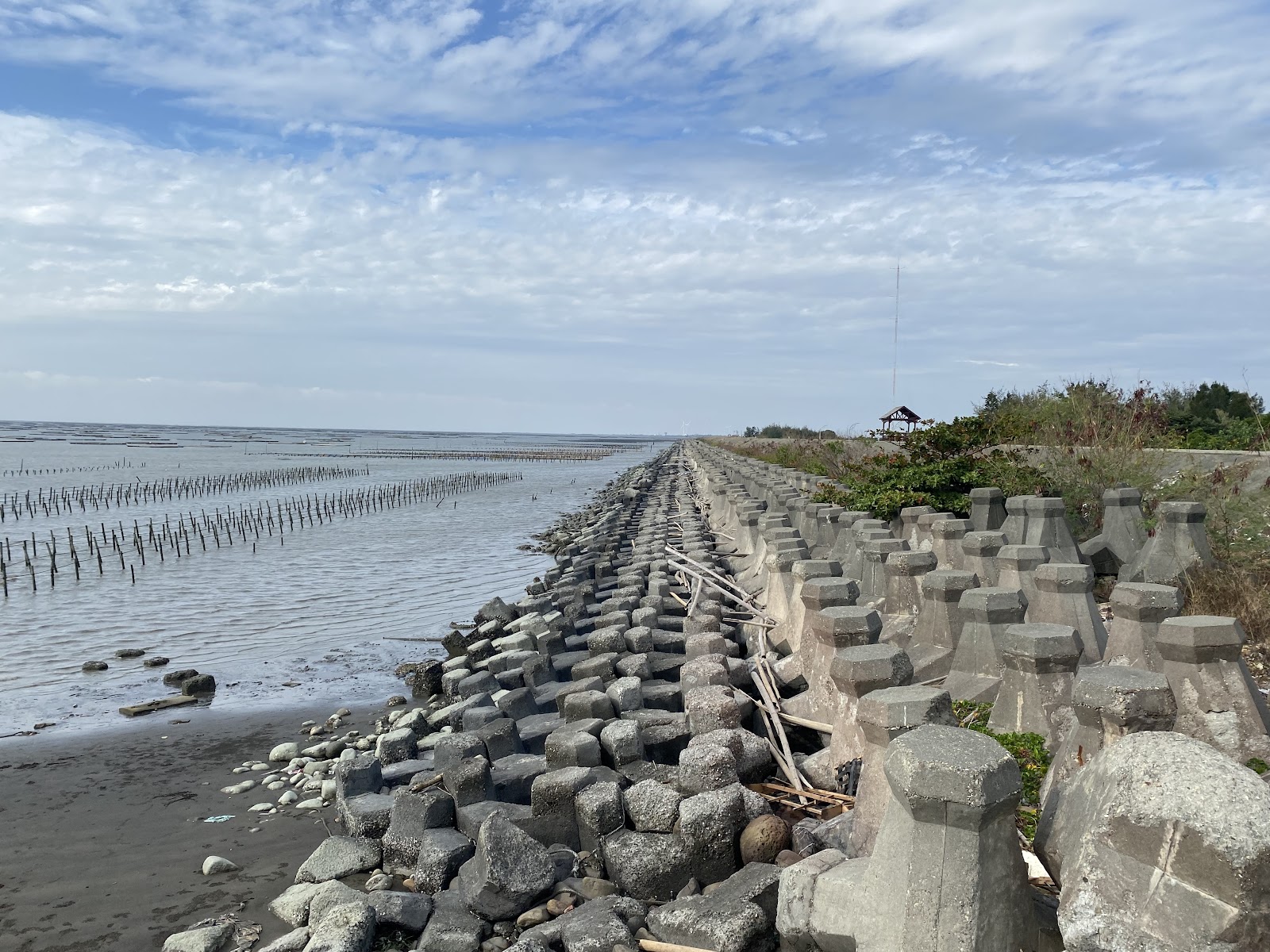 成龍濕地海堤消波塊，遠方海域蚵仔養殖竹架，天際線開闊