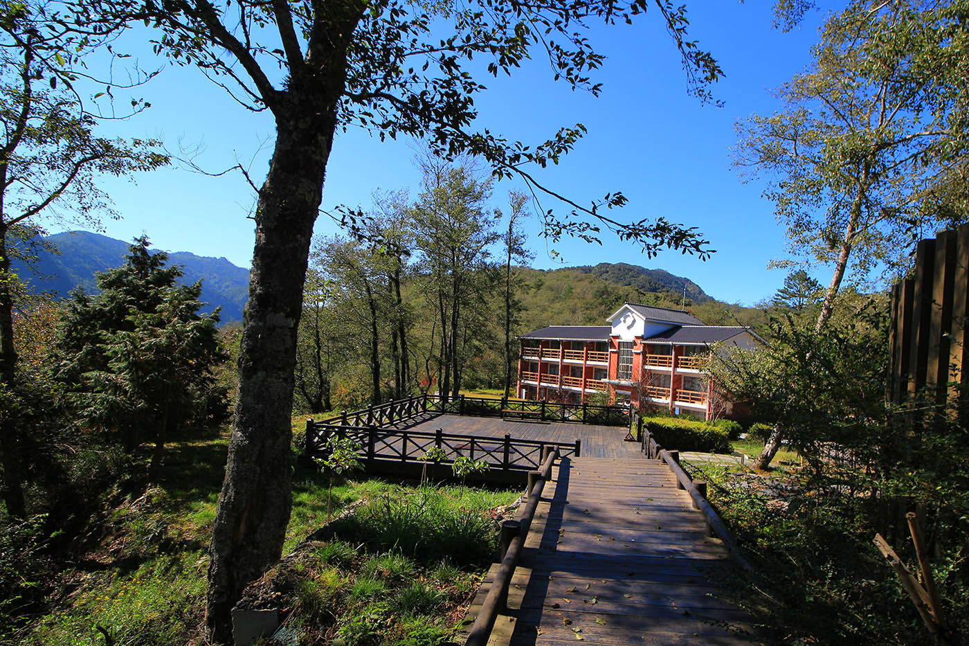 觀霧管理站山林建築與步道