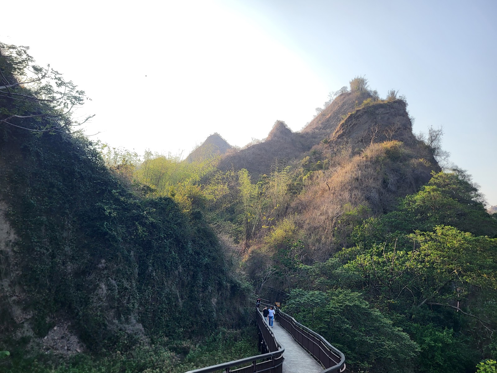 十八羅漢山木棧步道，遊客漫步於岩壁與叢林之間