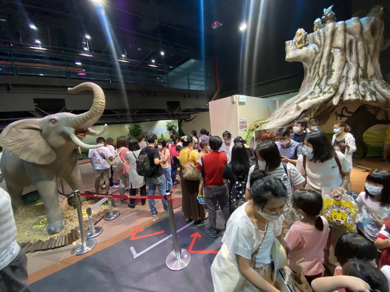 室內展覽場大象模型與樹屋造景