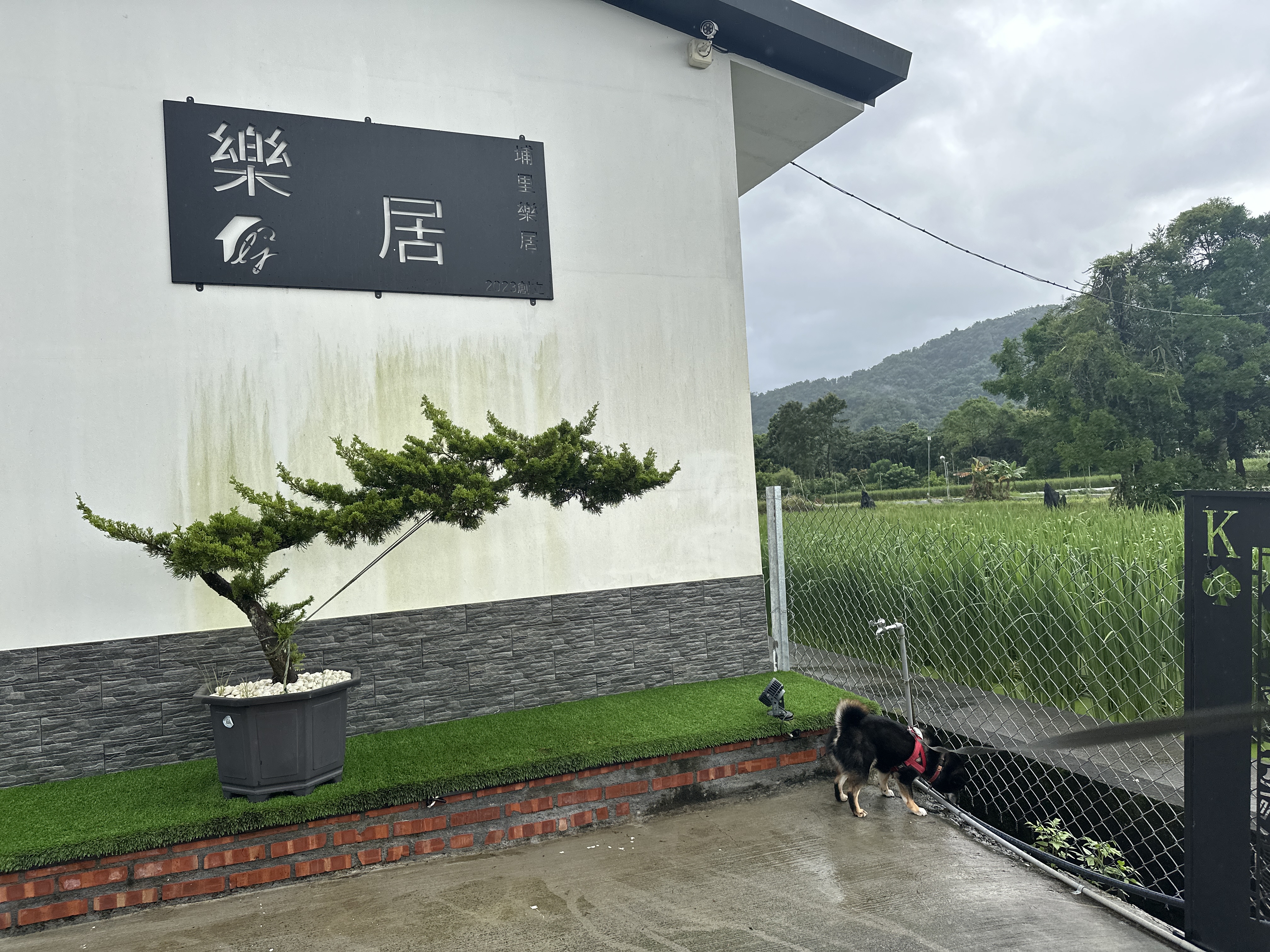 埔里樂居民宿樂居招牌與田野景觀
