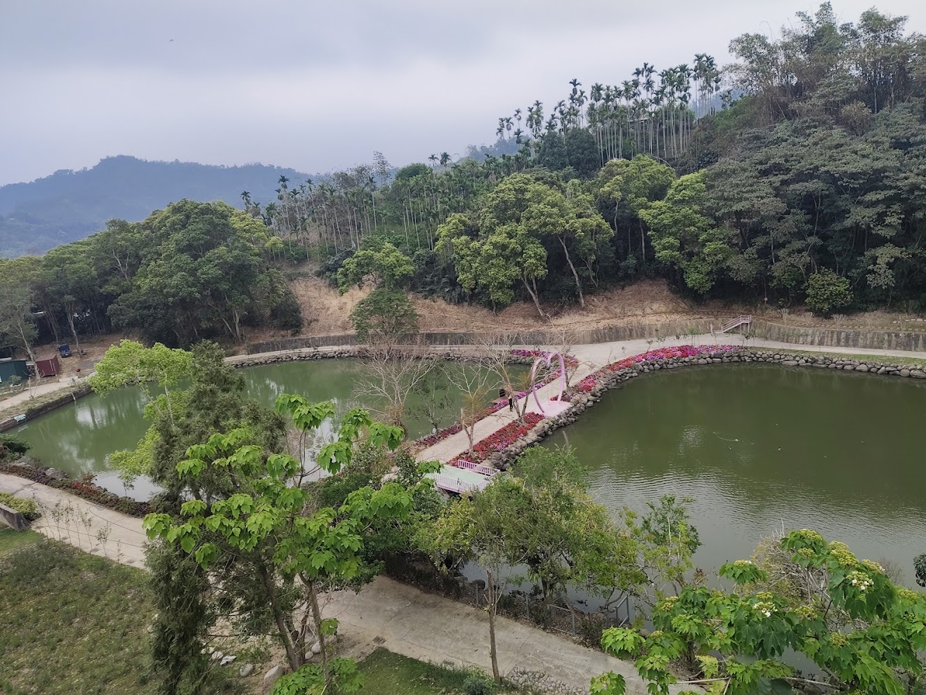 有風的地方森林療癒咖啡池塘與山林步道