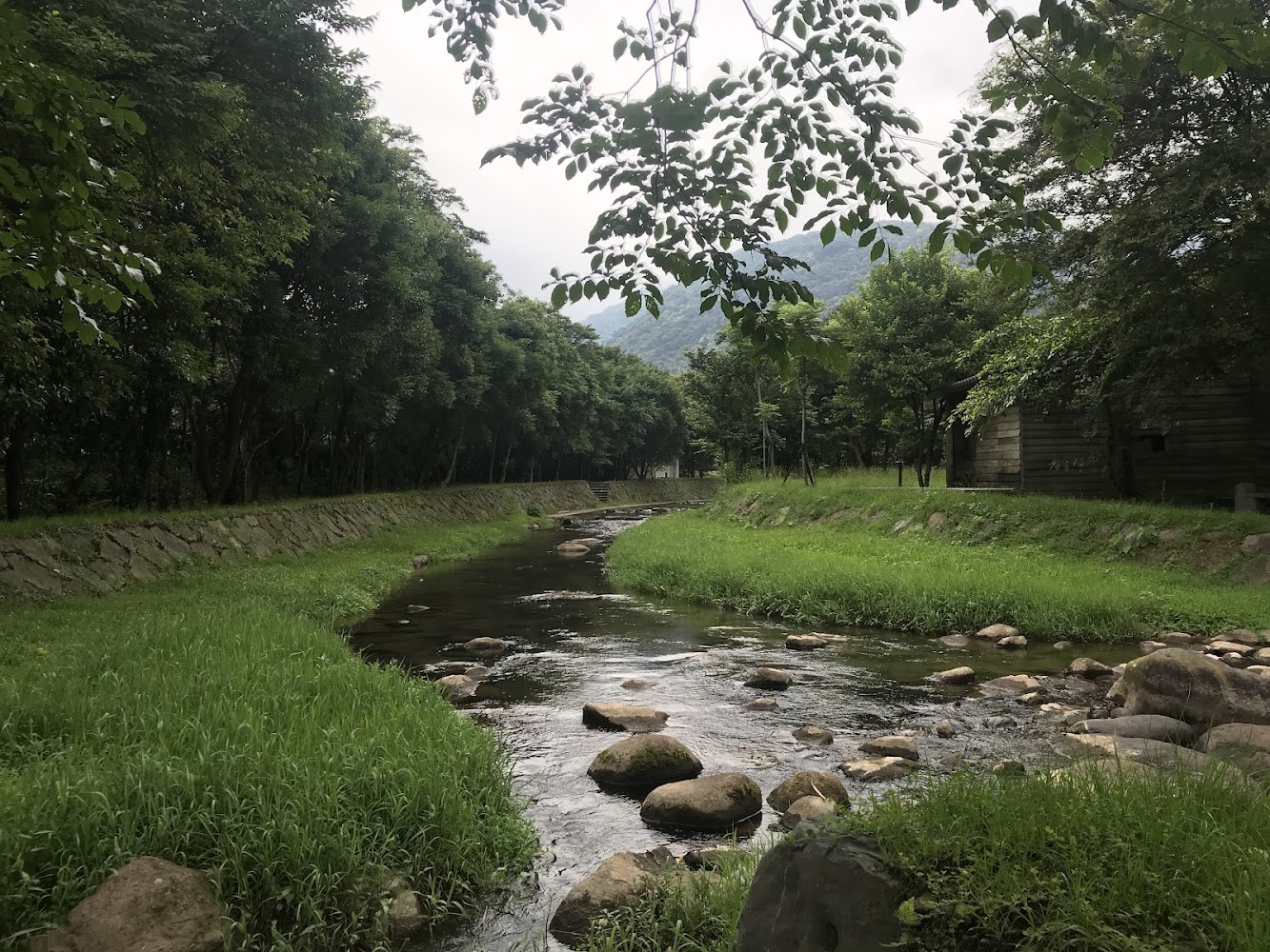 磺溪頭清水園區小溪草地與遠山景色