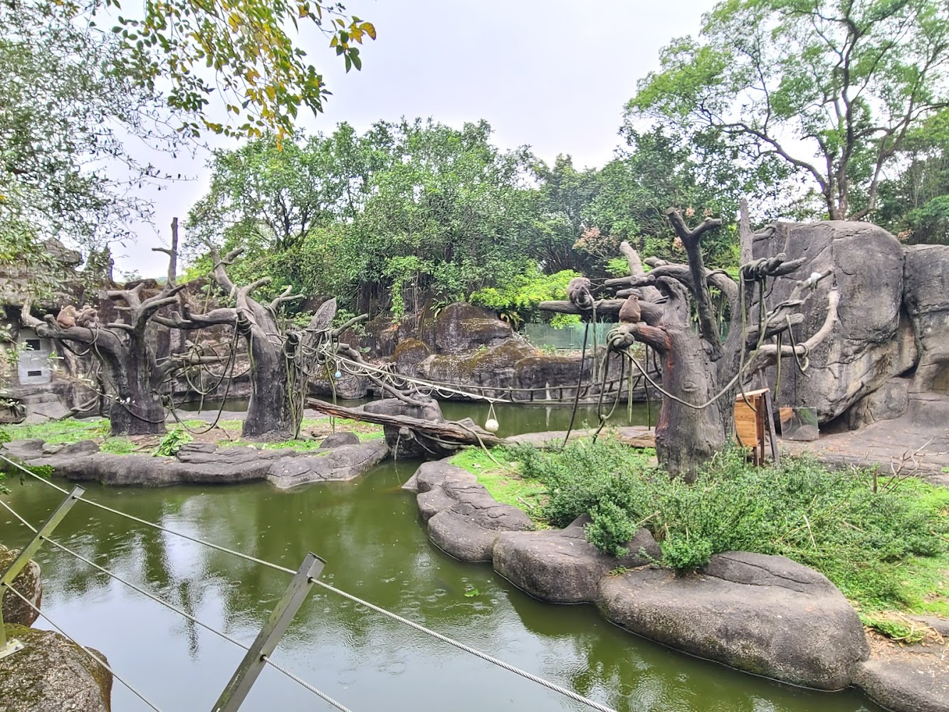 臺北市立動物園臺灣獼猴區戶外展示場