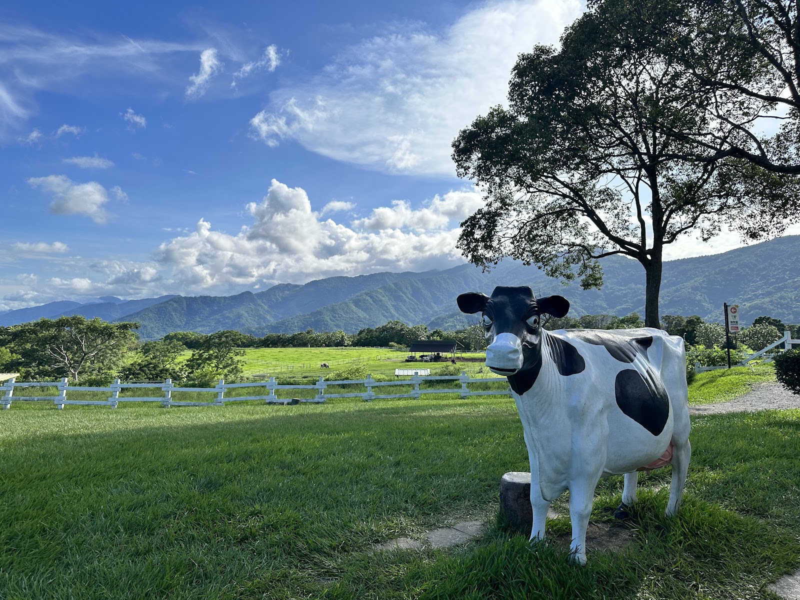 初鹿牧場乳牛模型雕像近景，背後是白色圍欄廣闊草地和遠山