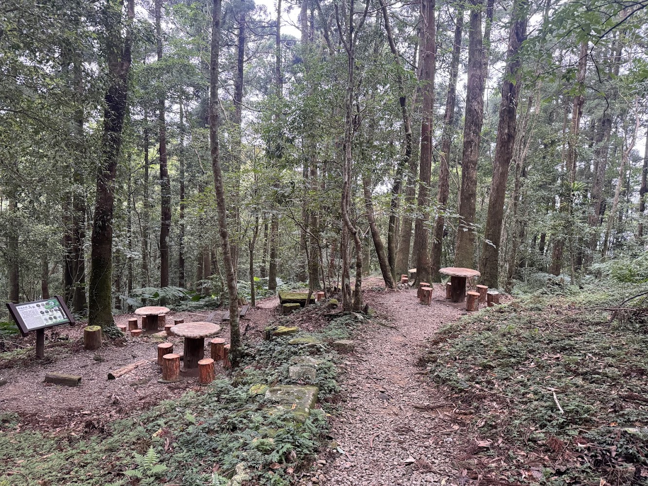 步道穿過樹林並設有休息桌椅