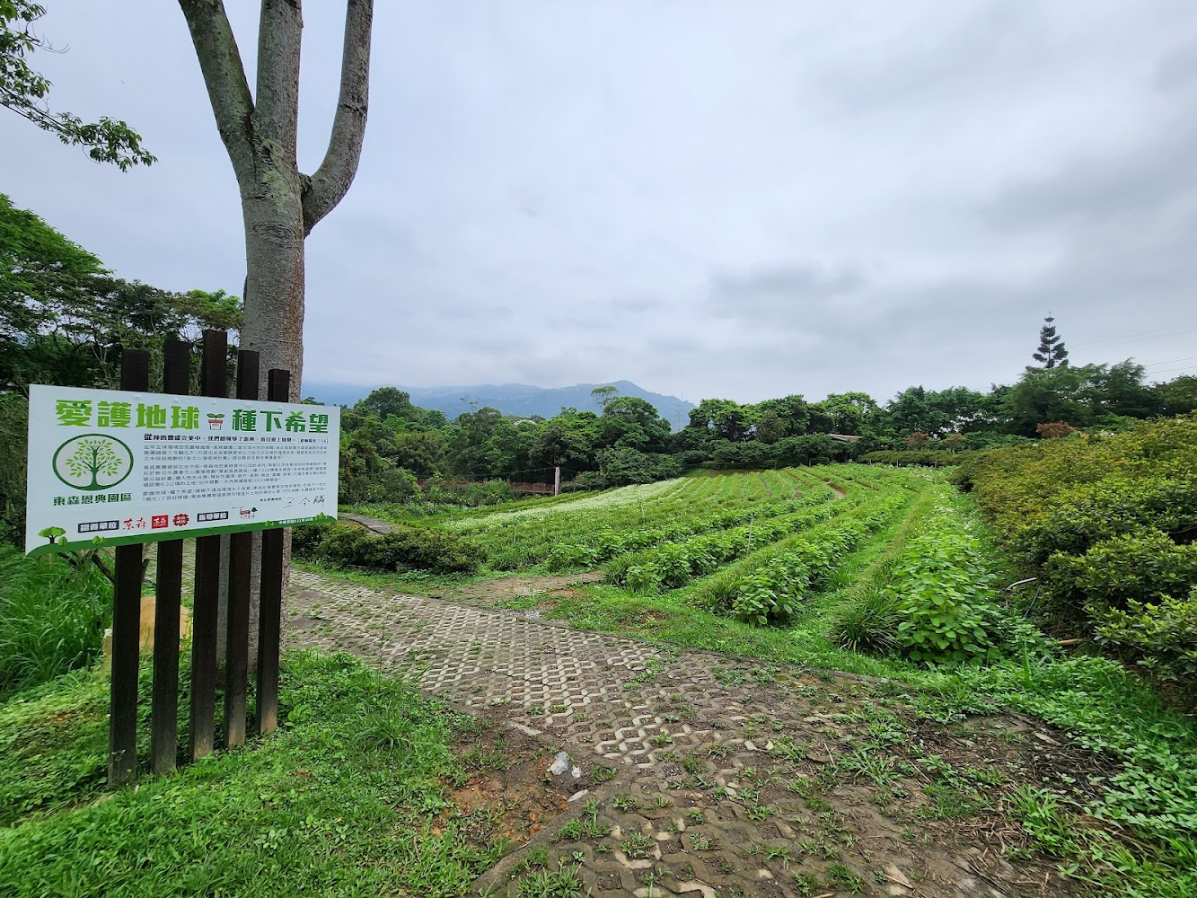 文山農場自然農地與生態告示牌