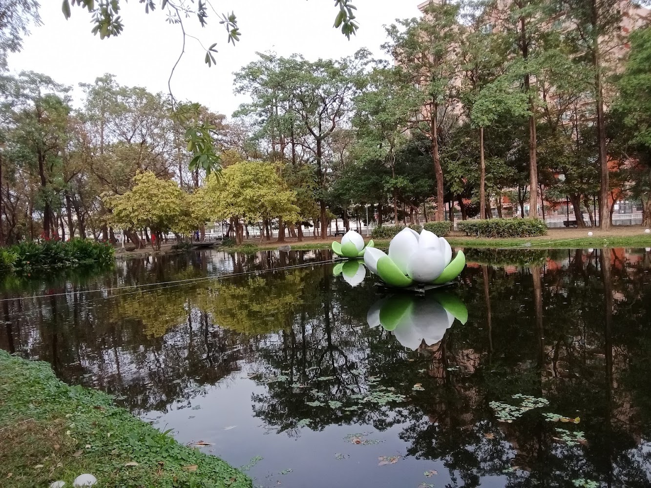 大東濕地公園池塘中的人造蓮花裝置