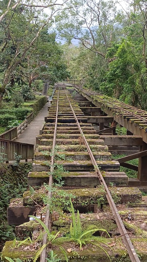 長滿青苔的廢棄鐵道橋
