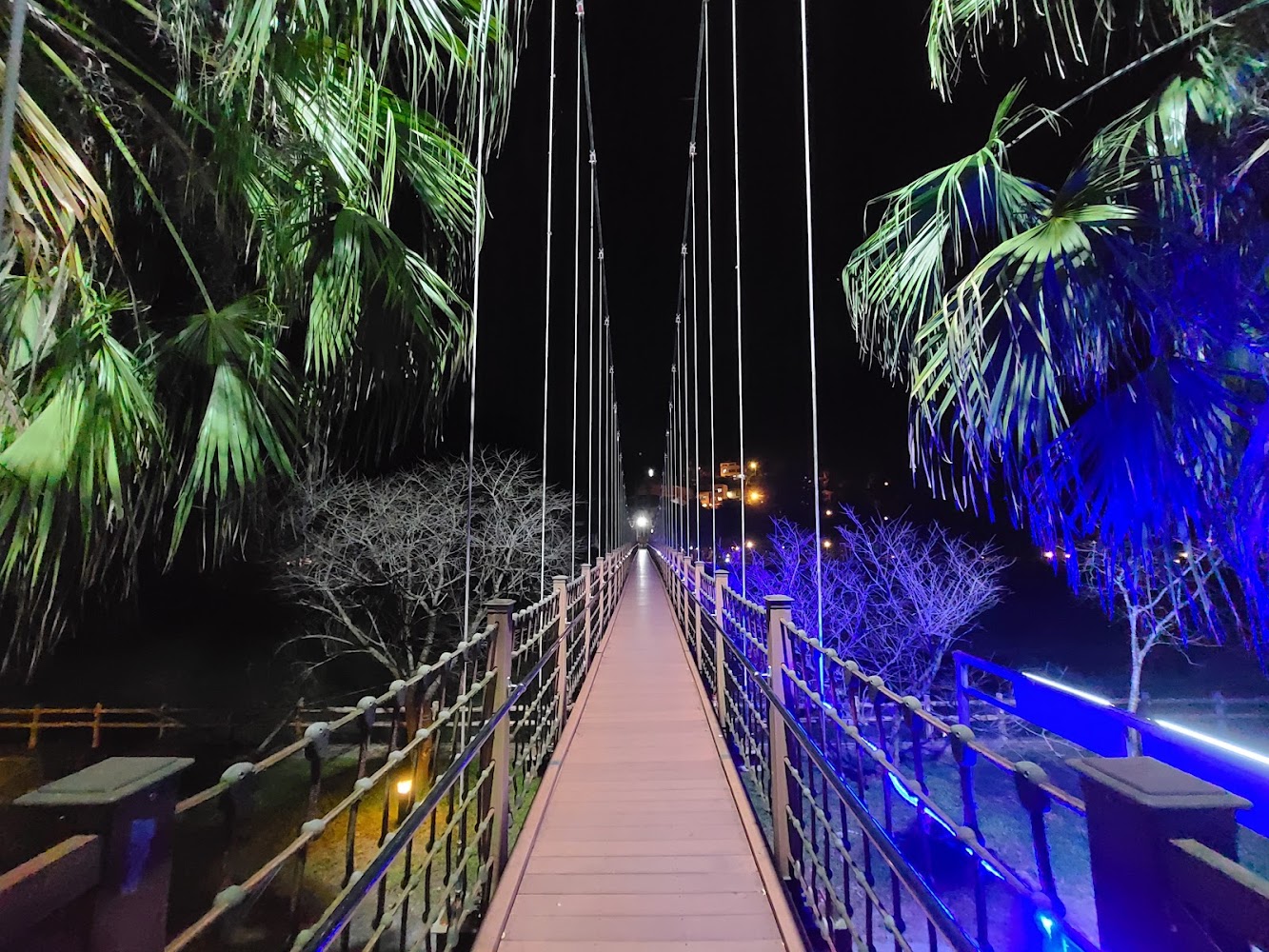 夜間點燈的吊橋與兩旁樹木,氣氛浪漫