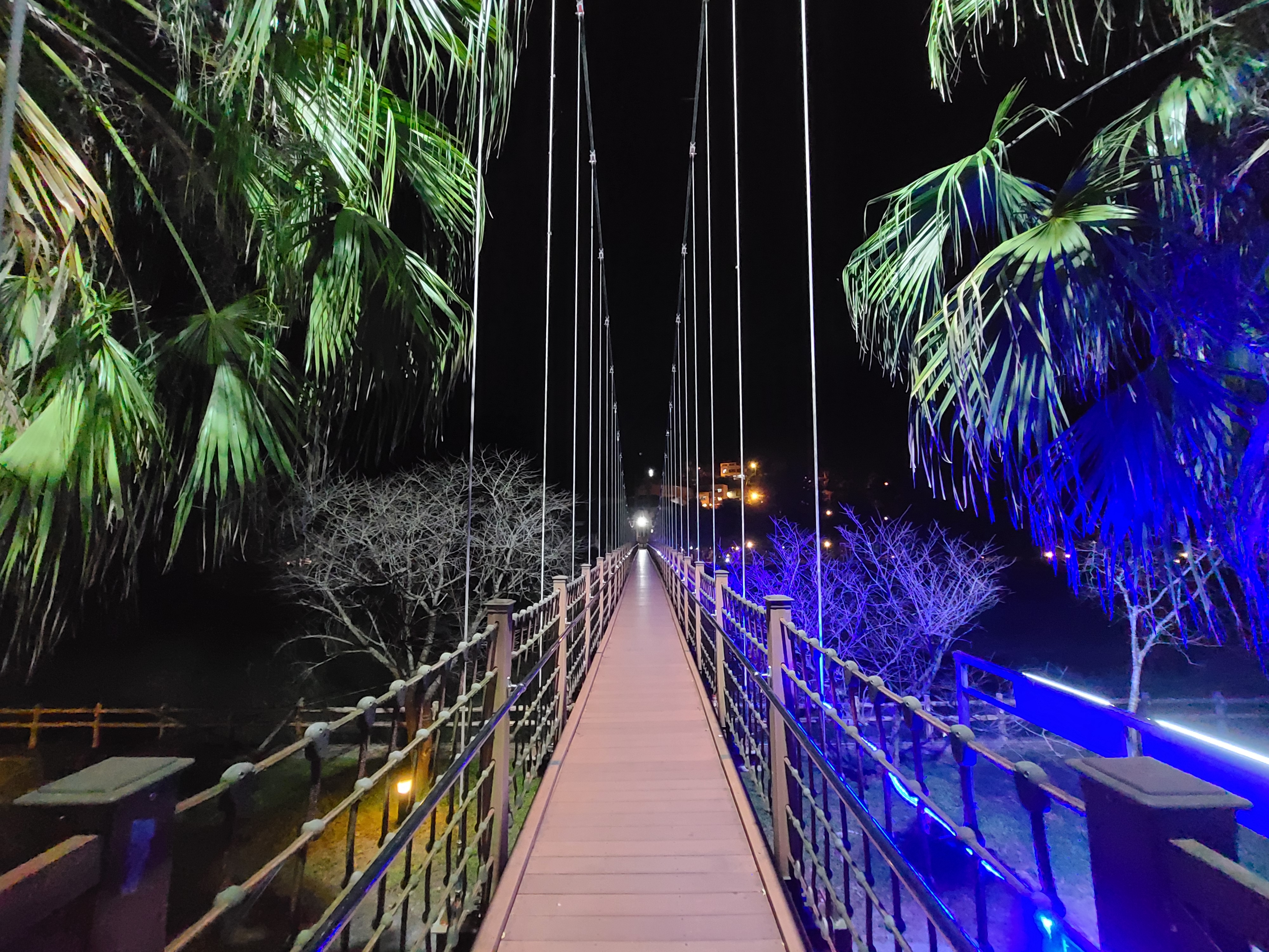 會來尖石溫泉渡假村夜晚點燈吊橋與椰子樹景象