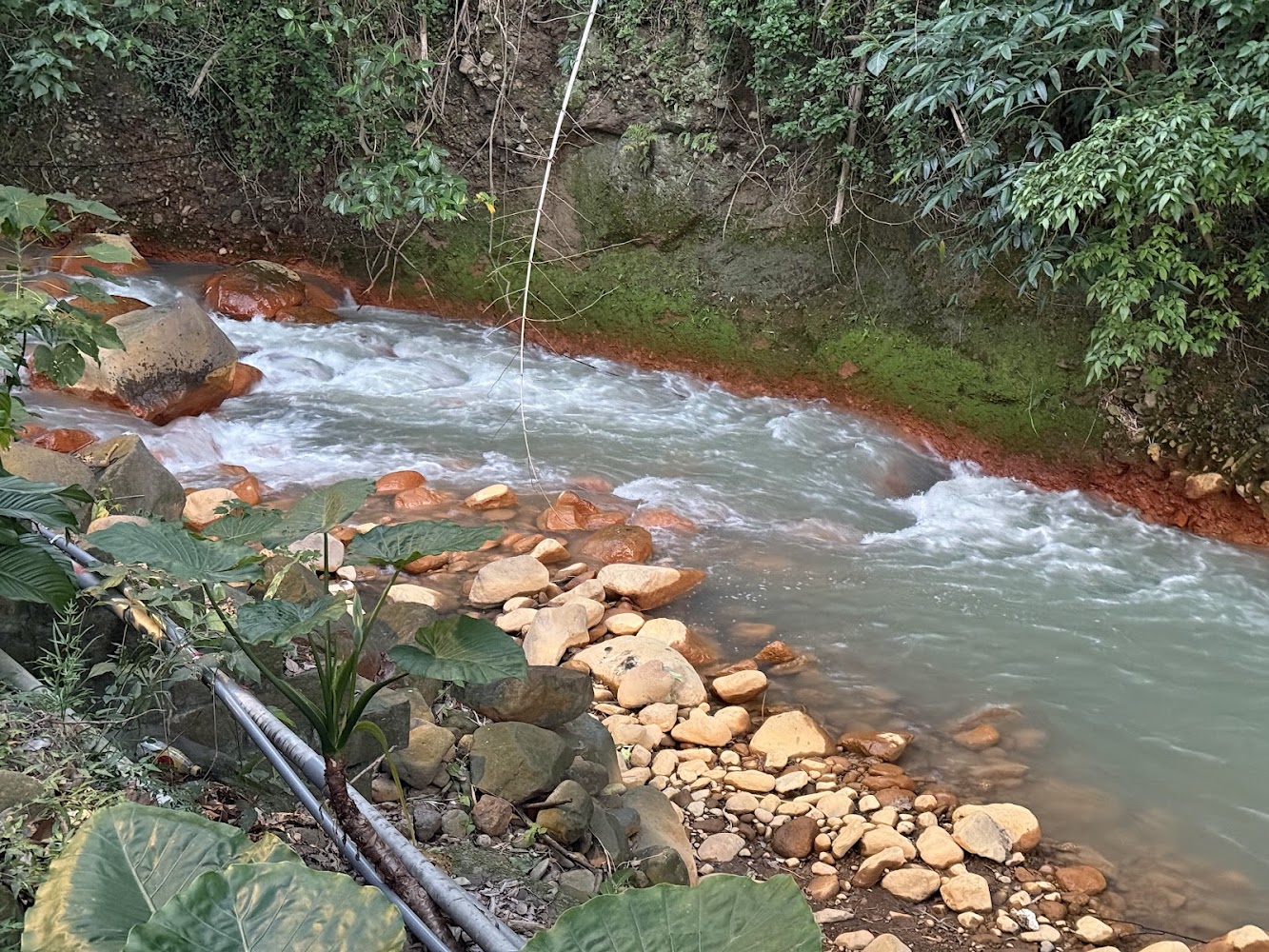 小溪水流清澈湍急，周圍有青苔石頭與橘黃色岩石，兩旁植物茂密