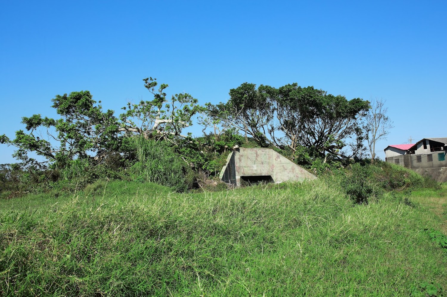 草叢和樹木中的碉堡建築前方有廣闊草地