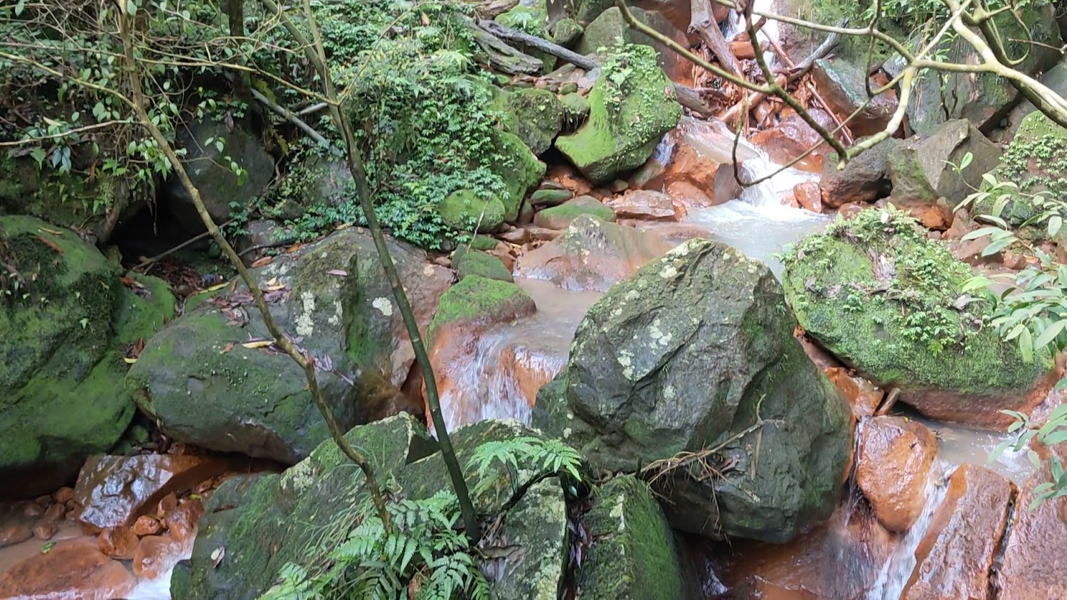 山間小溪穿梭青苔大石之間