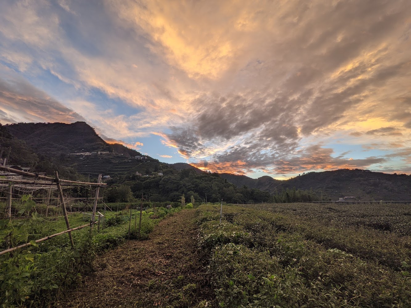 臨江古厝遠望農田與山丘的夕景