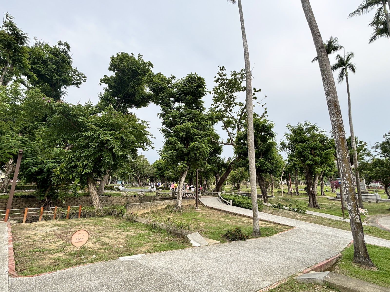 嘉義公園林蔭步道，大樹樹冠交錯，綠意盎然