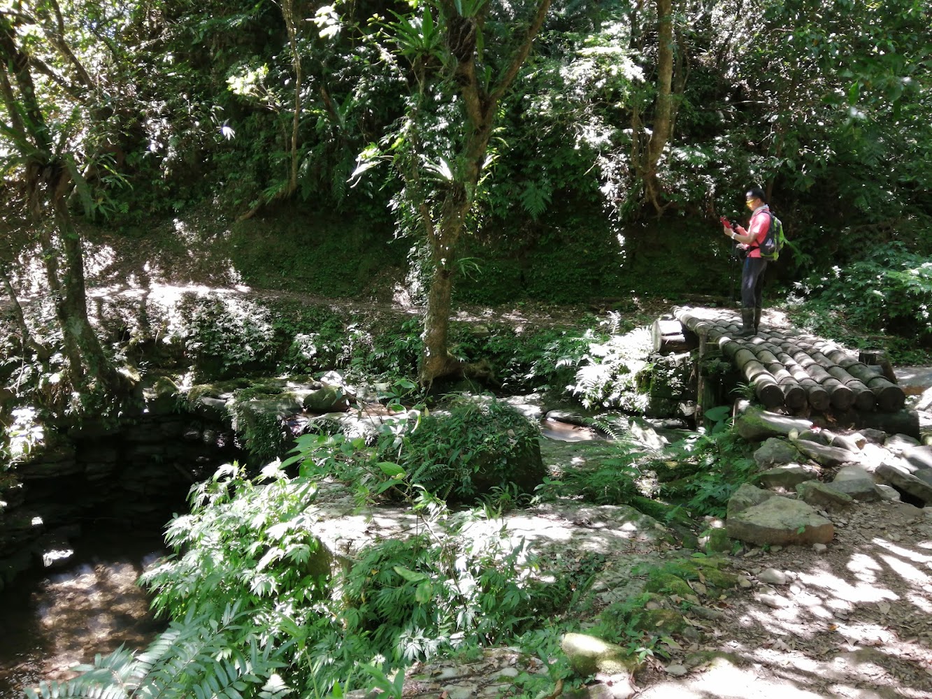 竹子搭建的簡易橋橫跨小溪流