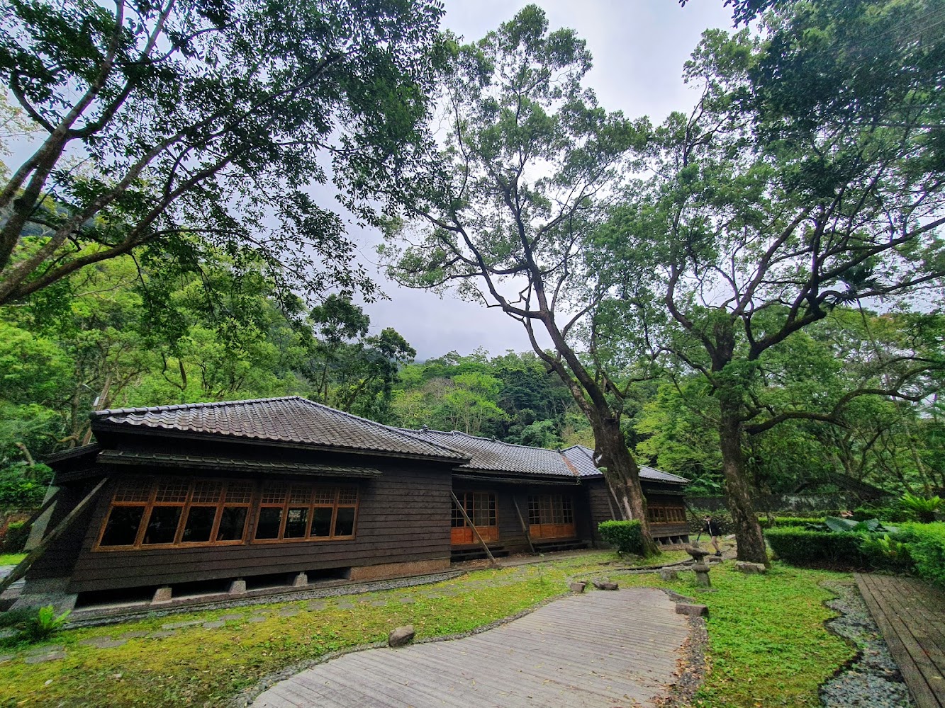 日式木造建築與高大樹木