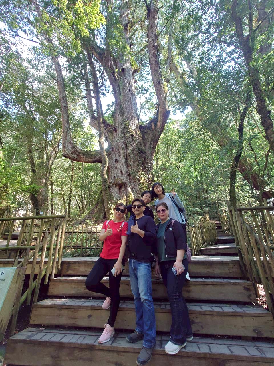 司馬庫斯巨木登山步道入口木製標示牌，遊客站在入口處，背景有粉色野花