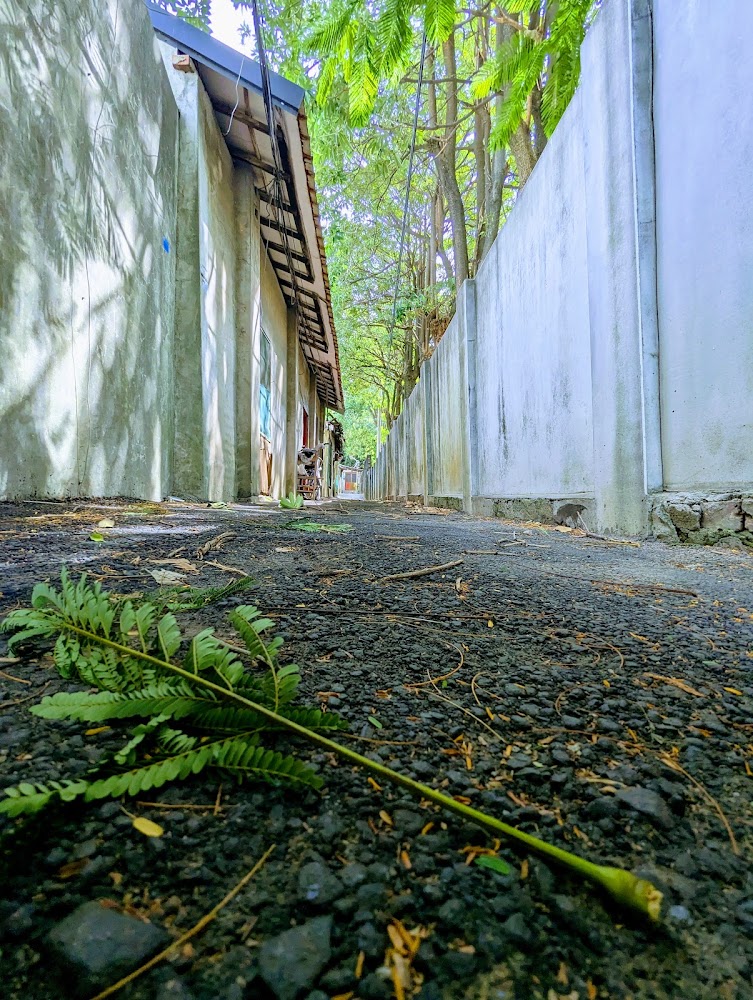 狹窄巷弄與老式建築的日常景色