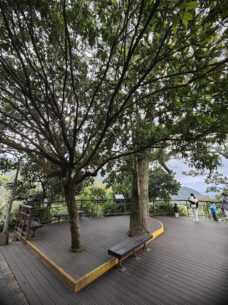 觀景平台長椅與綠意山景