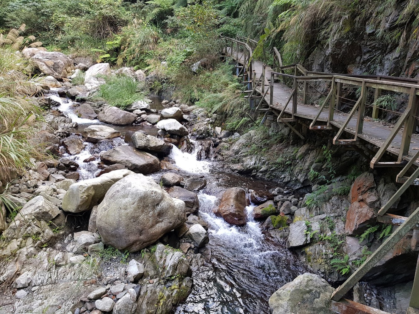 蝴蝶谷瀑布登山口沿溪木棧道景色