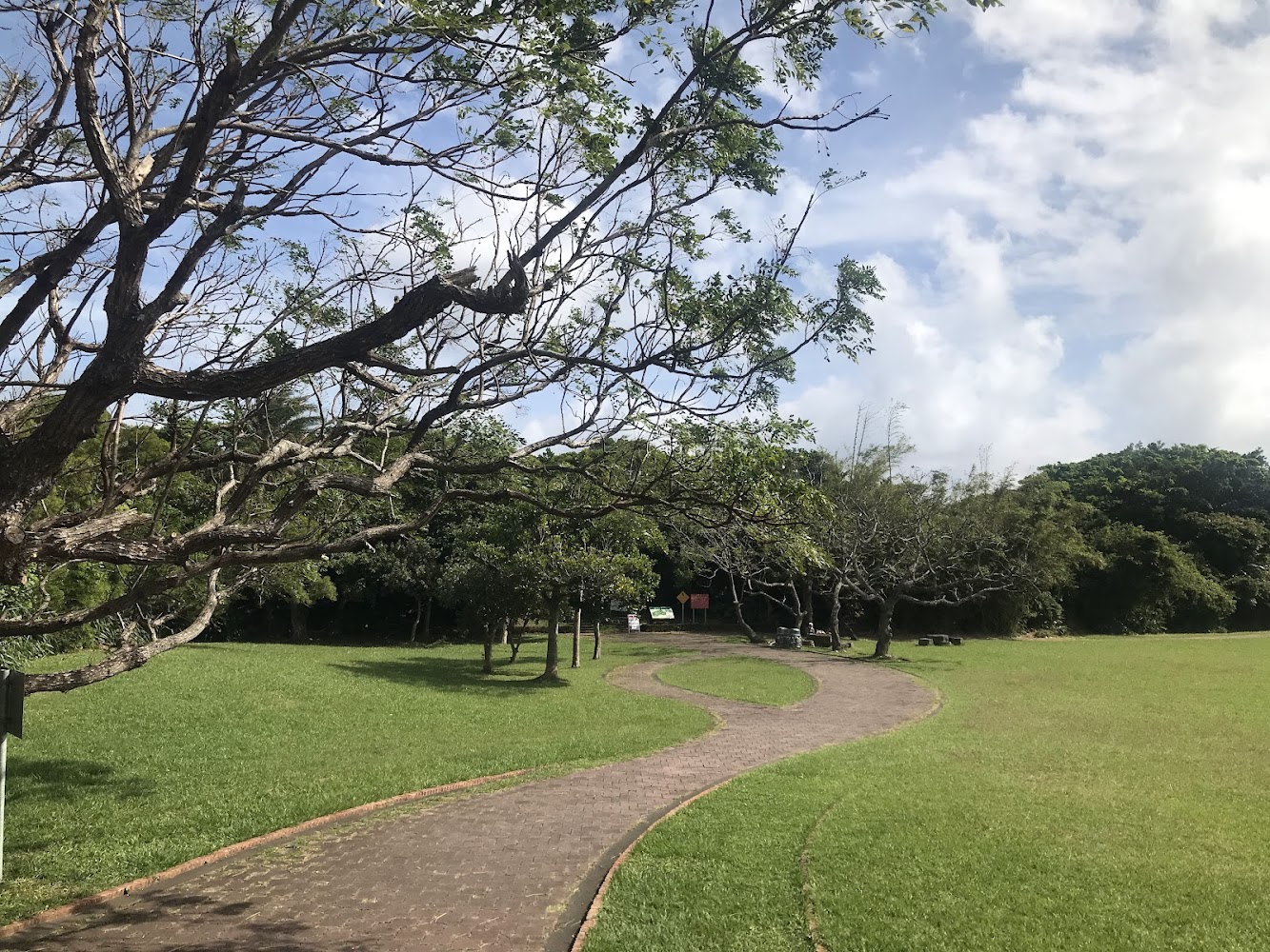綠地與大樹步道景觀